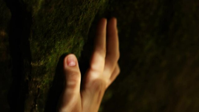 close-up of a woman's hand touching the moss on the stones in the cave. reflection of water on hand.
