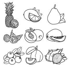 Vector illustration of tropical fruit hand drawn sketch, fruit line art, Containing Pineapple, Lemon, Pear, Raspberry, Plum, Papaya, Cranberry, Guava, and Dragon Fruit isolated on white background