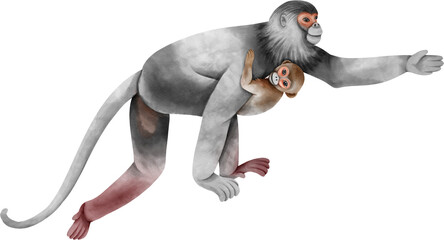 Watercolor baby monkey and mom © b.illustrations