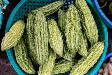 pare which is being displayed by sellers in traditional markets Selective focua of bitter gourd on blue basket at local market, ready to sale Paya vegetables are green and have a characteristic bitter