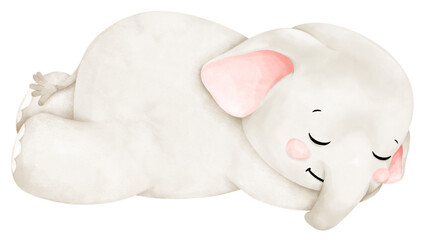 cute elephant sleeping