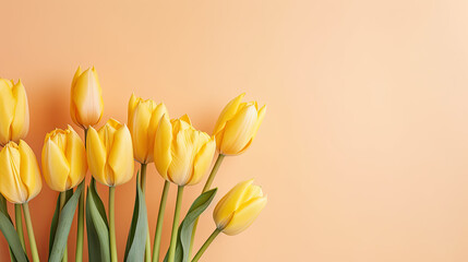 bouquet of yellow tulips on a pastel yellow background 