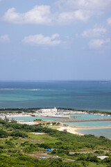 Fototapeta na wymiar 沖縄の青い海と風景（縦）