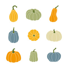 Pumpkin in various shapes and colors. Thanksgiving and Halloween elements. Suitable for cards, banners, posters