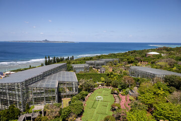 植物園と青い海