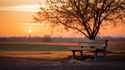 Fototapeta na wymiar solitary bench on the roadside