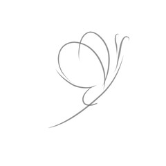 Butterfly line art style for background. Butterfly illustration with line art style.
