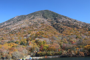 紅葉する男体山