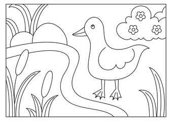 Duck coloring page for kids activity 