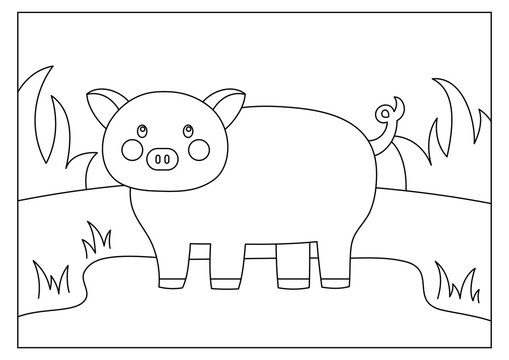 Pig coloring page for kid activity 