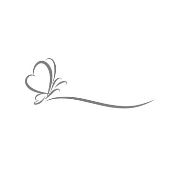 Butterfly line. Butterfly line art style for background. Butterfly illustration with line art style.