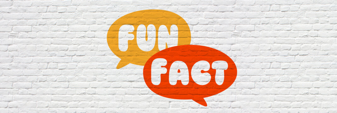 Fun fact on speech bubble