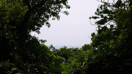 沖縄　斎場御嶽