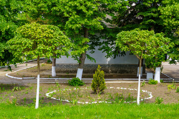 Flowerbed with flowers. Background with selective focus and copy space