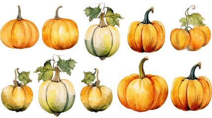 Watercolor painting of a pumpkins in yellow color tone.