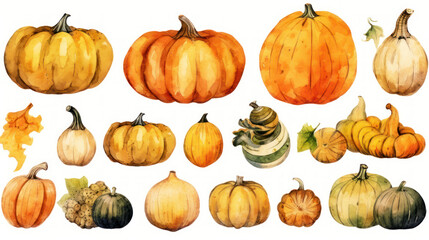 Watercolor painting of a pumpkins in yellow color tone.