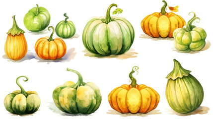 Watercolor painting of a pumpkins in light lime color tone.