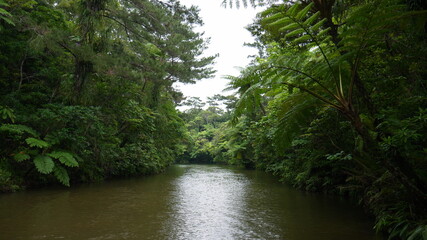 沖縄　ビオスの丘　ラン