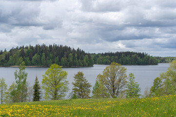 Rain clouds over the lake on spring day. Trees on lake shore, and meadow with yellow dandelions in foreground
