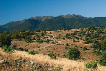 Fototapeta na wymiar A beautiful view of the Pirin mountain in Bulgaria from a golden grassy hills.