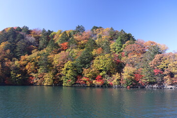 遊覧船から見る紅葉