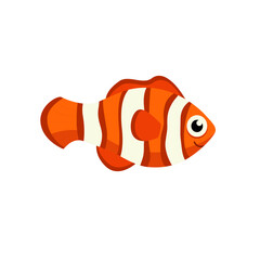 Exotic cartoon clownfish isolated marine animal, cartoon character cute animated personage striped fish icon. Vector aquarium or tank pet, sea theme anemone, tropical clown fish underwater creature
