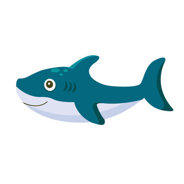 Cute Shark Cartoon Illustration. Cute Shark Swimming Cartoon Vector Icon Illustration. Animal Nature Icon Concept Isolated Premium Vector. Flat Cartoon Style