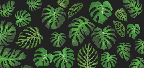 green  monstera leaves background
