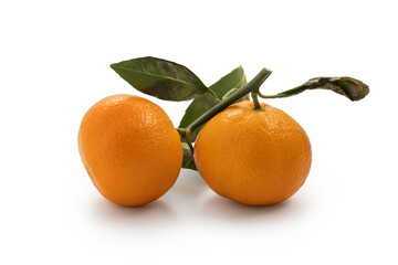 Two mandarin citrus with leaves isolated on white