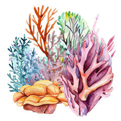 Koralowce rafa koralowa ilustracja - obrazy, fototapety, plakaty