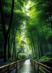 Obraz premium Wet stoned walkway through a bamboo trees forest in Asia after a rain