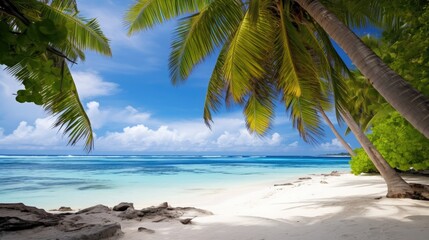 Fototapeta na wymiar Perfect tropical beach 