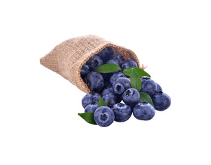 blueberries transparent png