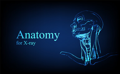 Human anatomy in front on x ray view. Anatomy human body connection, Medical, educational or science banner on futuristic blue background, Vector hand drawn illustration