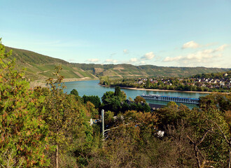 Naklejka premium Aussicht auf den Rhein und die Weinberge des sogenannten Bopparder Hamm, im UNESCO-Welterbe Oberes Mittelrheintal Rheinland-Pfalz.