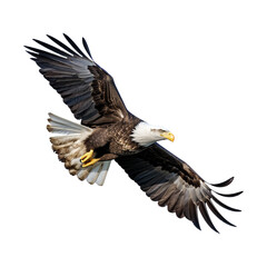 American eagle in flight isolated on white transparent background