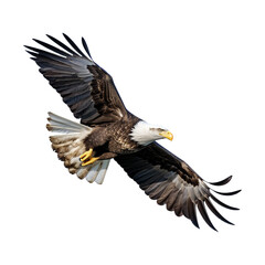 Obraz premium American eagle in flight isolated on white transparent background