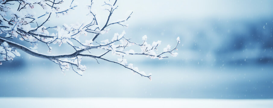 Winter scenery with tree branches covered in snow