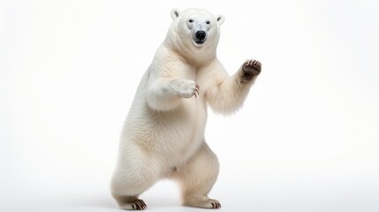 White polar bear dancing happily isolated on white background - obrazy, fototapety, plakaty