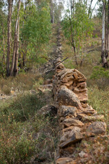 History in Stone: Ancient Wall Ascending Among Trees in Vertical Frame.