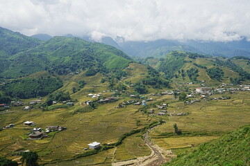 Amazing Rice Paddy or Rice Field in Muong Hoa Valley or Thung Lung Muong Hoa, Sapa, Vietnam - ベトナム サパ 棚田
