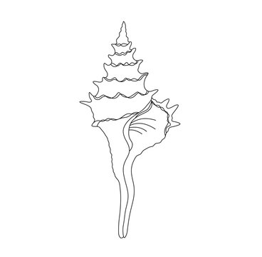 Vector isolated one single big large long sea shell colorless black and white contour line easy drawing