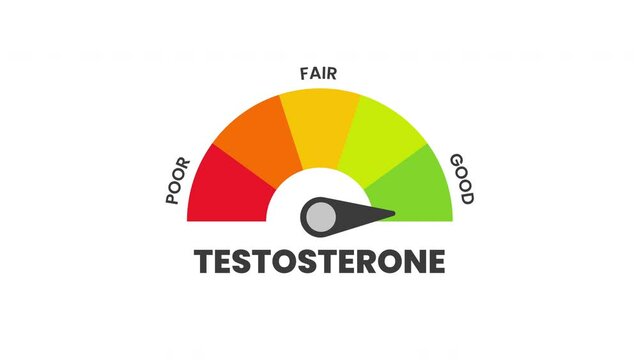 testosterone Level Measuring animation.4K motion animation.
