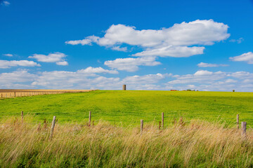 field and blue sky