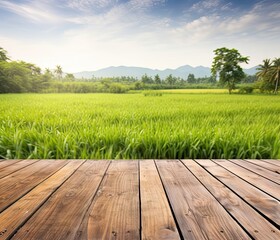 The seats are wooden and the background is a lush rice field. Created by AI