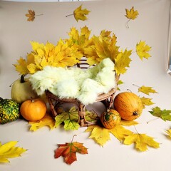 Background texture basket for newborn photo shoot
