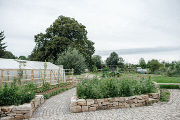 Fototapeta na wymiar Green vegetable garden on a cloudy day