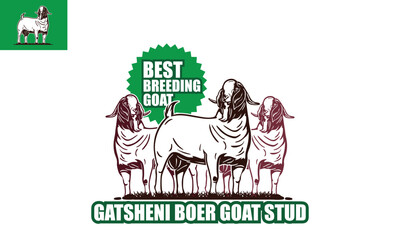 GATSHENI BOER GOAT STUD LOGO, silhouette of best breeding boer ram vector illustrations. this image is perfect as banner icon or poster etc.