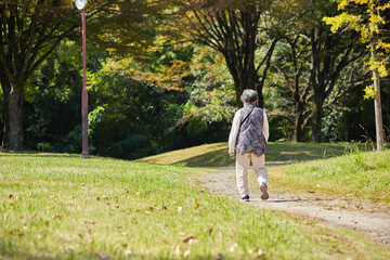 秋の公園で散歩しているシニア女性の後姿