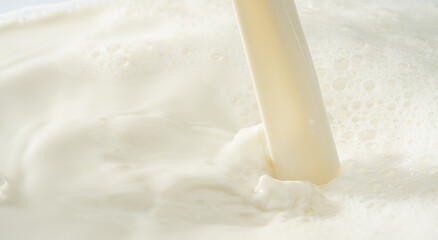 Close up splash cow milk